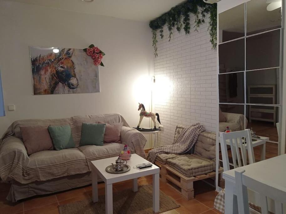 Precioso Loft En El Centro De Cordoba. Leilighet Eksteriør bilde