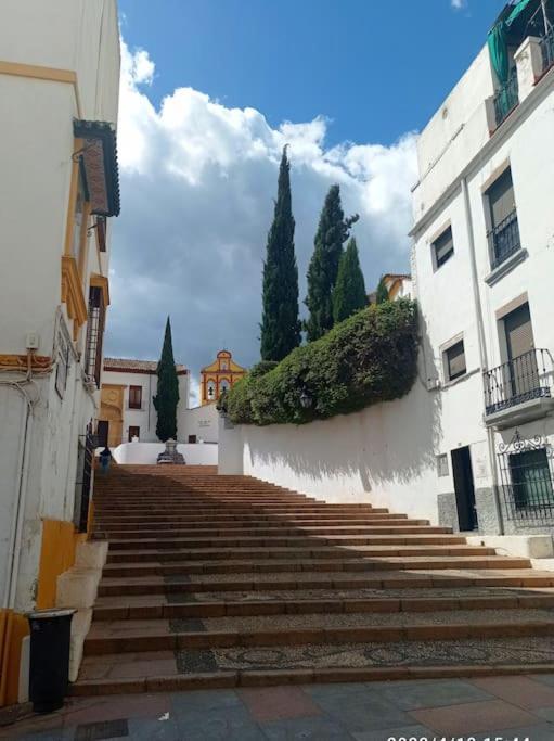Precioso Loft En El Centro De Cordoba. Leilighet Eksteriør bilde